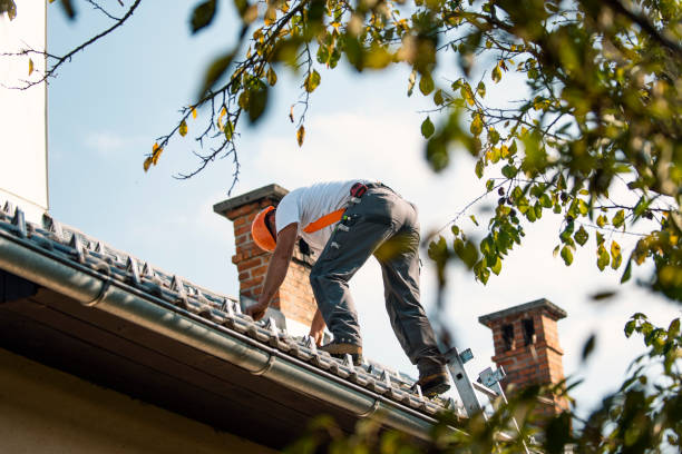 Best Solar Panel Roofing Installation  in Barnesville, GA
