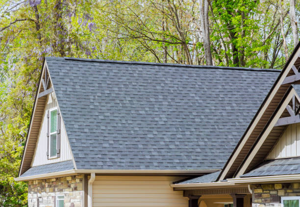 Best Roof Ventilation Installation  in Barnesville, GA